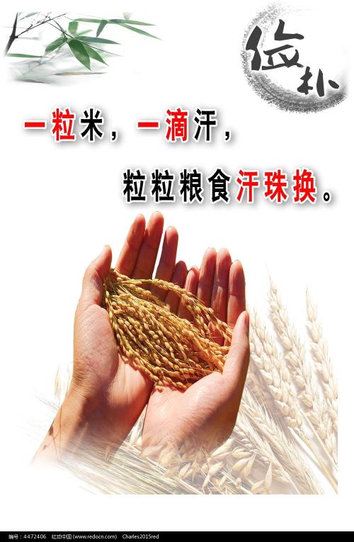 国際リベラルアーツ大学 Hotel management diploma